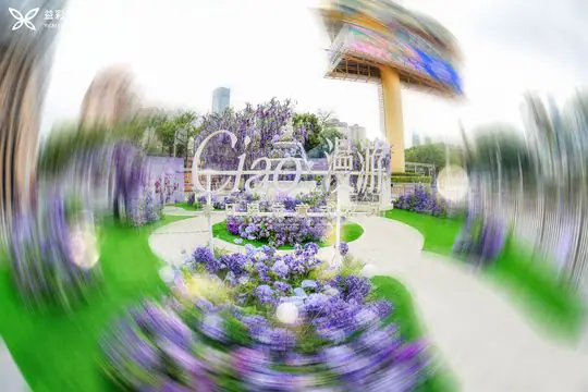 新案例项目
