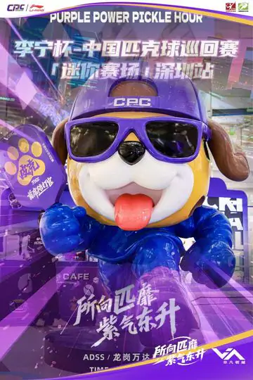 李宁杯—中国匹克球巡回赛 现场照片 5